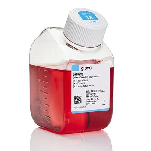 Gibco DMEM，高糖，含丙酮酸鹽11995065