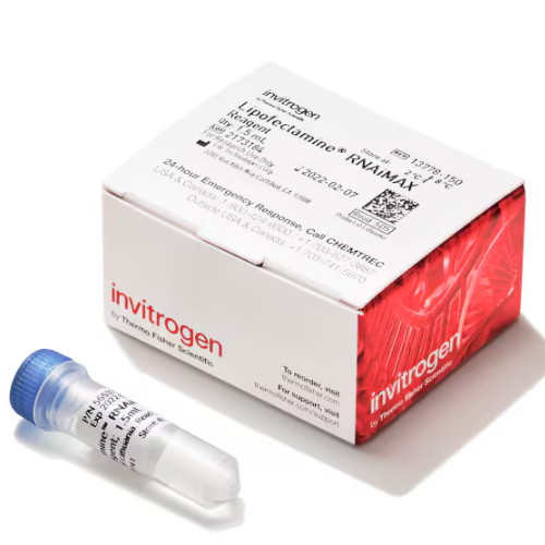 Thermo賽默飛Lipofectamine RNAiMAX 轉染試劑13778150