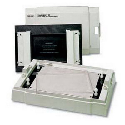 美國BIO-RAD Trans-Blot SD半干轉印系統轉印槽1703940
