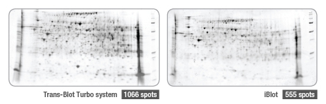 BIO-RAD Trans-Blot®Turbo美國(guó)伯樂(lè)全能型蛋白轉(zhuǎn)印系統(tǒng)1704150