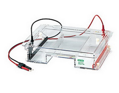 Bio-rad美國(guó)伯樂Sub-Cell® Model 192 Cell大型水平電泳槽1704506