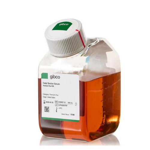 Gibco Fetal Bovine Serum, Premium Plus 500ml特優(yōu)級胎牛血清A5669701