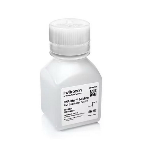 Thermo賽默飛RNAlater 穩定液AM7020 AM7022