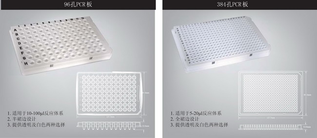 AXYGEN愛思進八聯管板