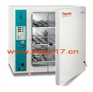 美國熱電Thermo BBD6220 CO2細胞培養箱