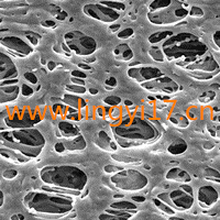 美國Millipore密理博Millipore Express®表面濾膜