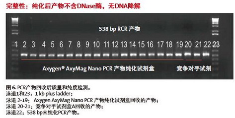 進口愛思進磁力架IMAG-96-P-G，AxyMag Nano PCR產物純化試劑盒
