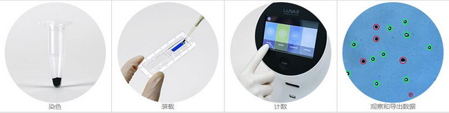 Logos LUNA-II全自動(dòng)細(xì)胞計(jì)數(shù)儀，進(jìn)口細(xì)胞計(jì)數(shù)儀