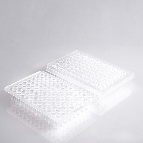 艾本德Lavibe PCR 96孔板0.2ml半裙邊2244030002，無裙邊2244030001