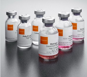 美國BD BioCoat Matrigel基底膜/基質膠