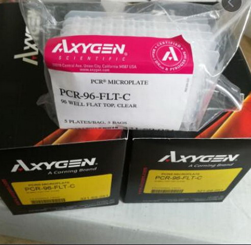 Axygen愛思進0.2ml透明無裙邊96孔PCR板PCR-96-FLT-C