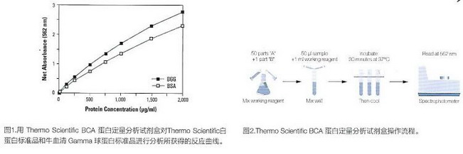 Thermo Scientific經(jīng)典暢銷-Pierce BCA蛋白定量試劑盒23227