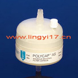 英國(guó)Whatman沃特曼Polycap AS過(guò)濾器