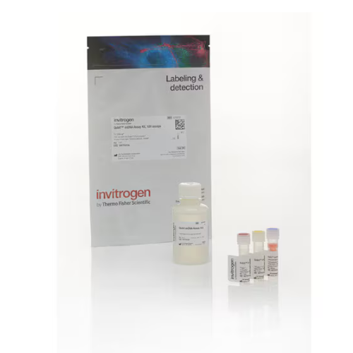 Thermo賽默飛Invitrogen Qubit ssDNA 檢測(cè)試劑盒Q10212