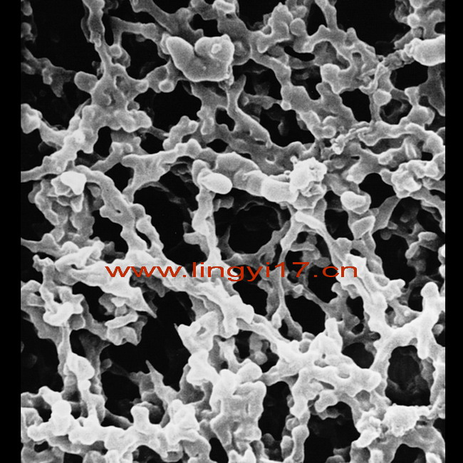美國密理博 MF-Millipore 25mm混合纖維素酯濾膜SCWP02500