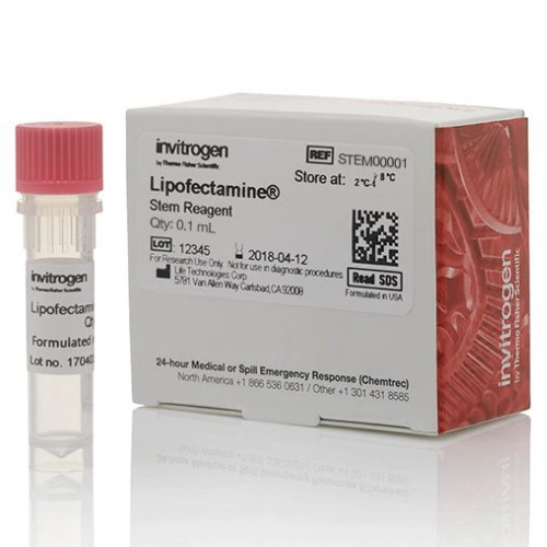美國Thermo Invitrogen Lipofectamine干細(xì)胞轉(zhuǎn)染試劑STEM00001