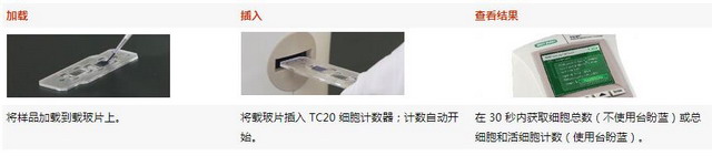 美國Bio-Rad伯樂TC20全自動細胞計數儀