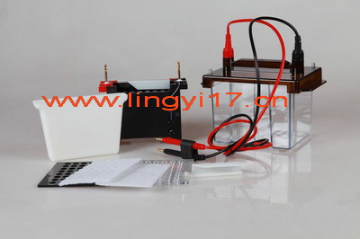 VE 186轉移電泳槽