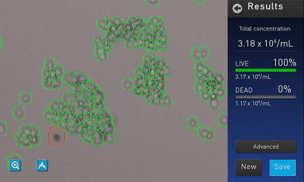 美國Invitrogen Countess II Automated Cell Counter自動化細胞計數儀AMQAX1000