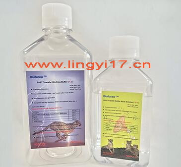 Biofuraw™ 快速轉膜緩沖液（10X）