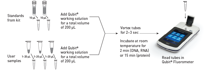 美國Life Invitrogen Qubit®4.0熒光定量儀Q33216，Q33217