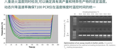 美國Bio-rad伯樂T100 PCR儀，進口梯度pcr